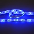 5011120299_Flexible LED SMD 5050 12V IP67 RGB_blau